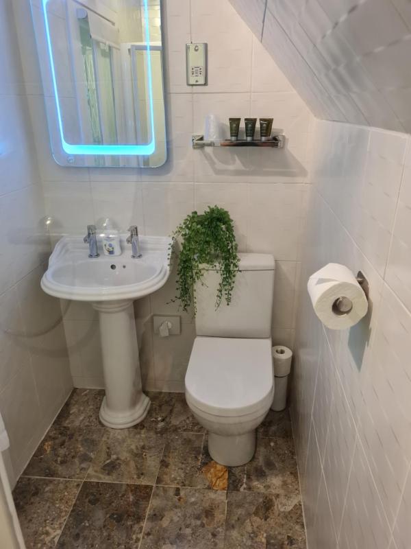 Standard King Room image 4