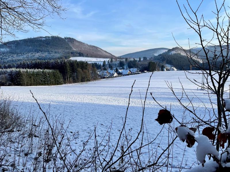 Auf der Platte - image 11