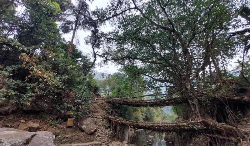 Odyssey Stays Nongriat - 3Kms trek from Main Road - image 7