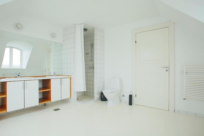 Unique 5 Bedroom Apartment w Exposed Beams in Copenhagen - image 7