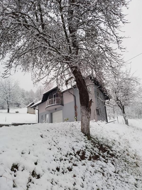 Apartman-vikendica Mihajlović - image 2