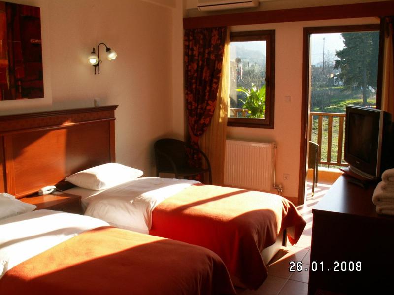 Double or Twin Room image 4