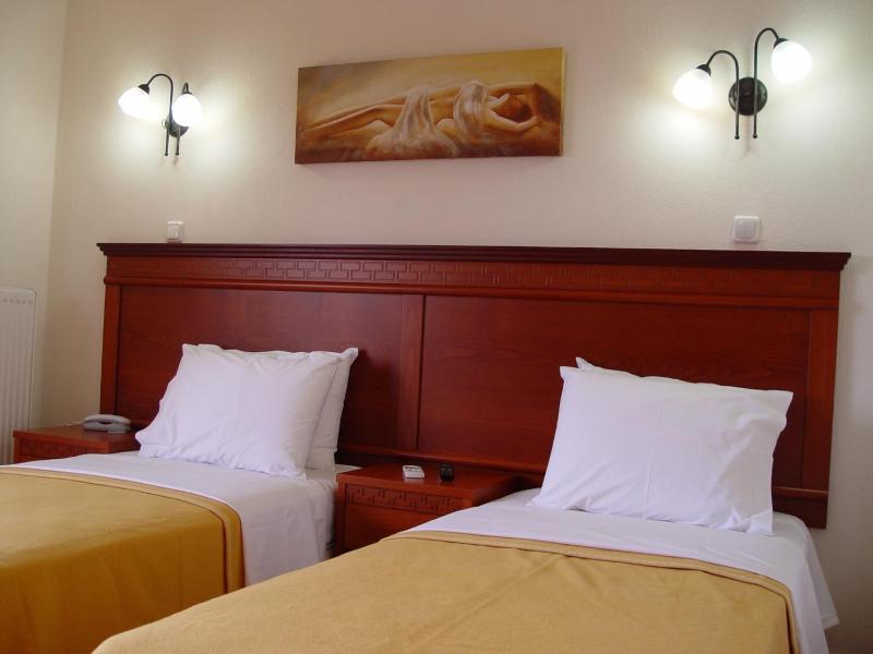 Double or Twin Room image 3