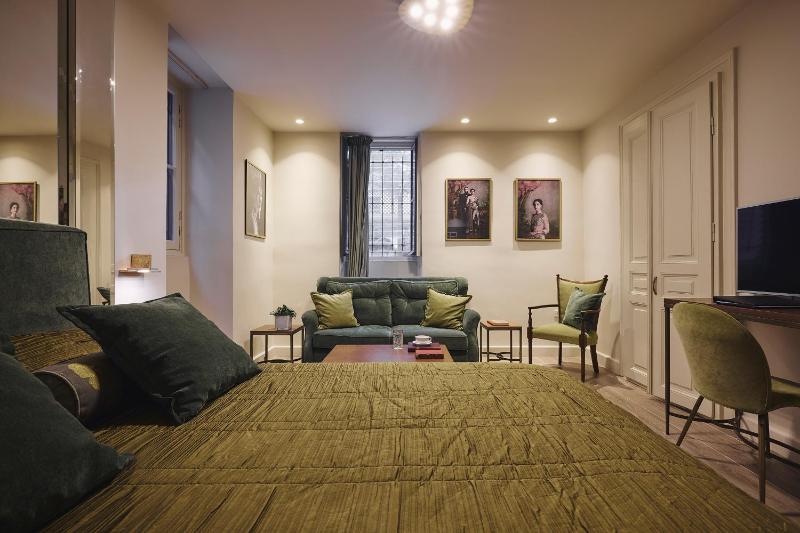 Junior Suite - Semi Basement  image 4