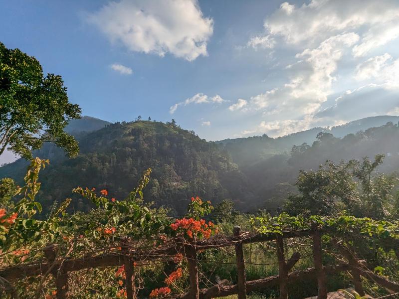 Lavendra Paradise - image 3