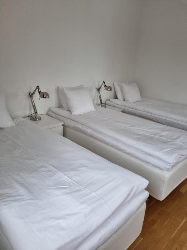 Deluxe Double Room image 1