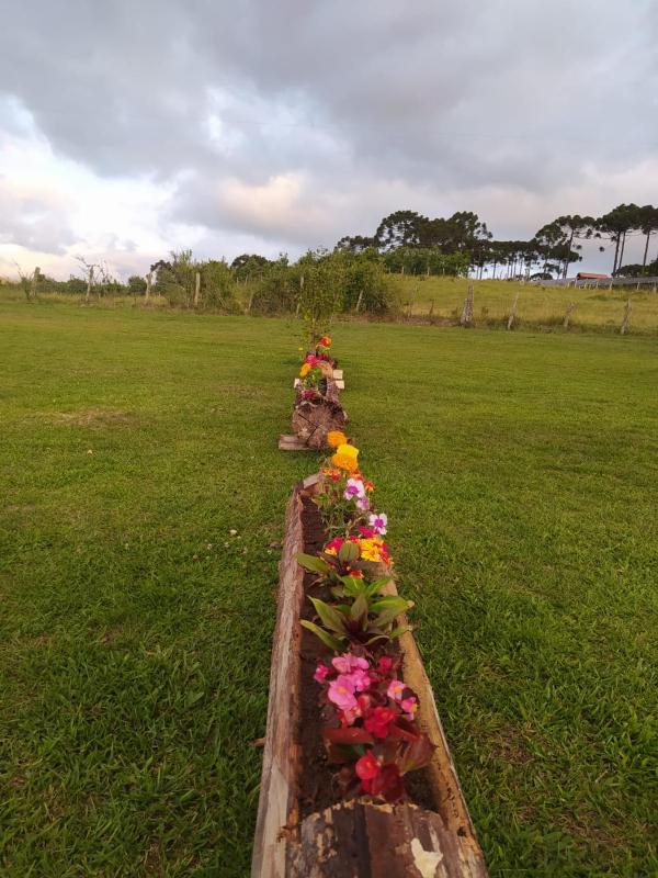 Pousada Flor do Campestre - image 20