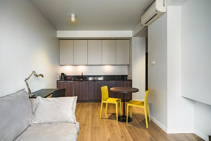 One-Bedroom Apartment image 4