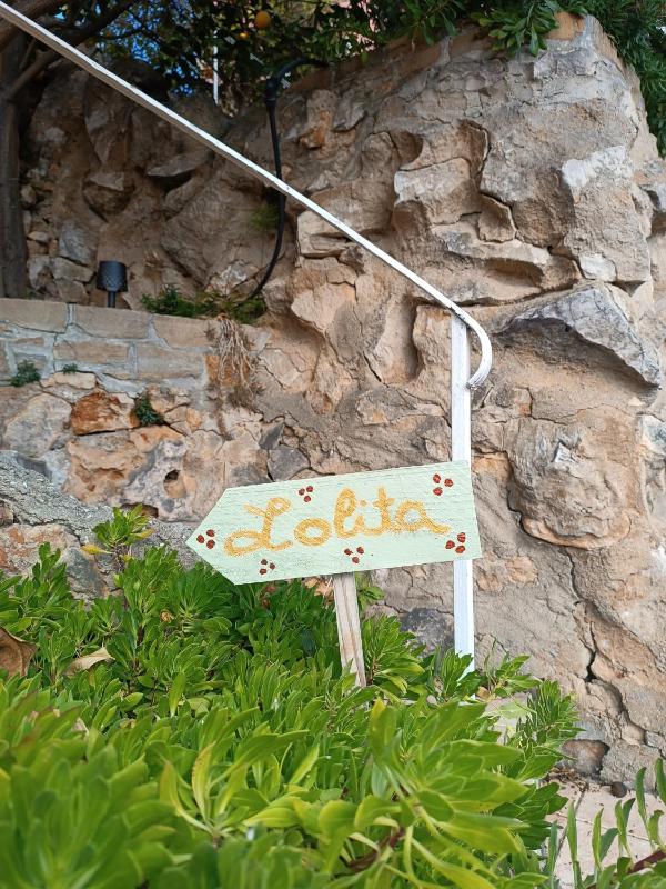 Les Galets Hôtel et B&B - image 37