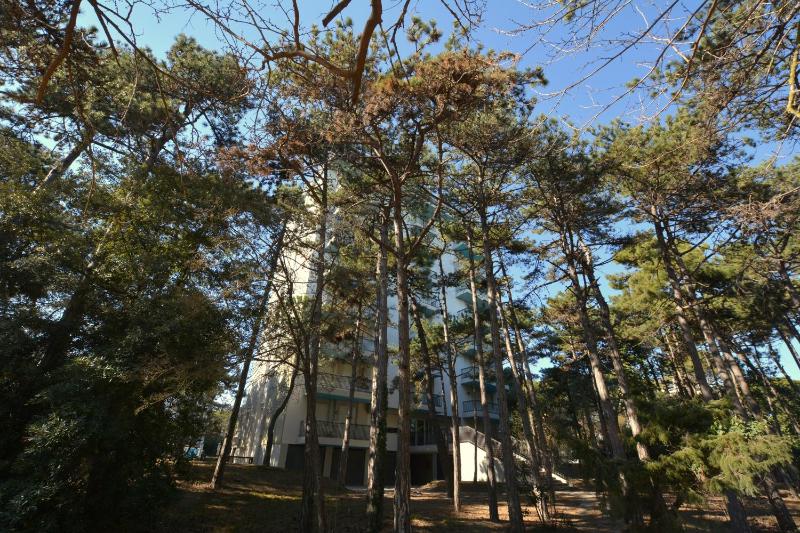 Lignano Pineta with marvellous sea view - image 10