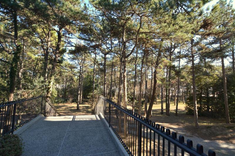 Lignano Pineta with marvellous sea view - image 43