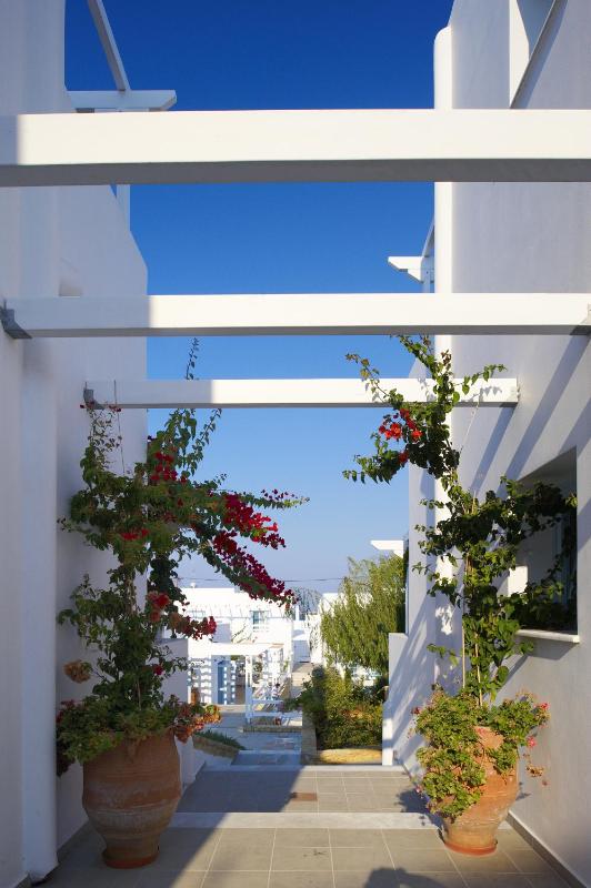 Suite (2-4 Adults) image 3