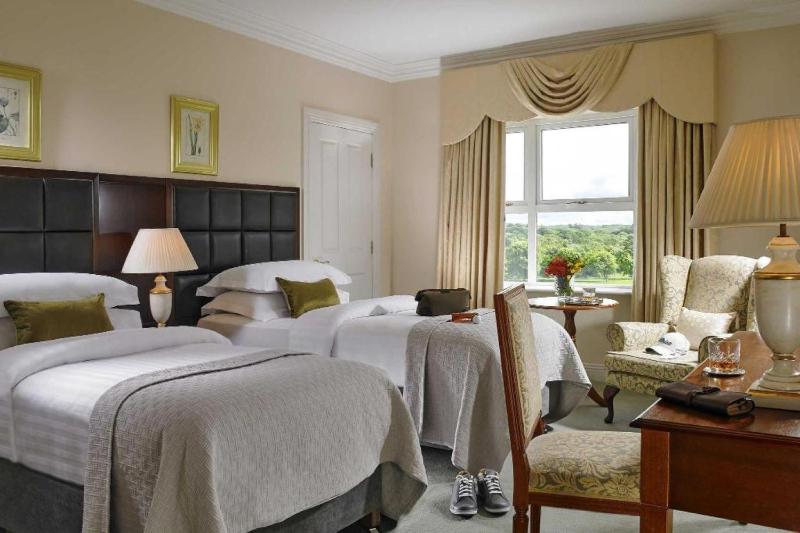 Deluxe King Room image 3