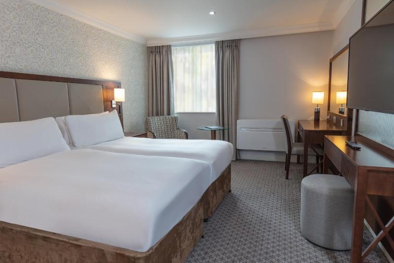 Superior Twin Room image 1