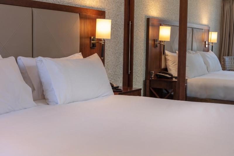 Deluxe Double Room image 3