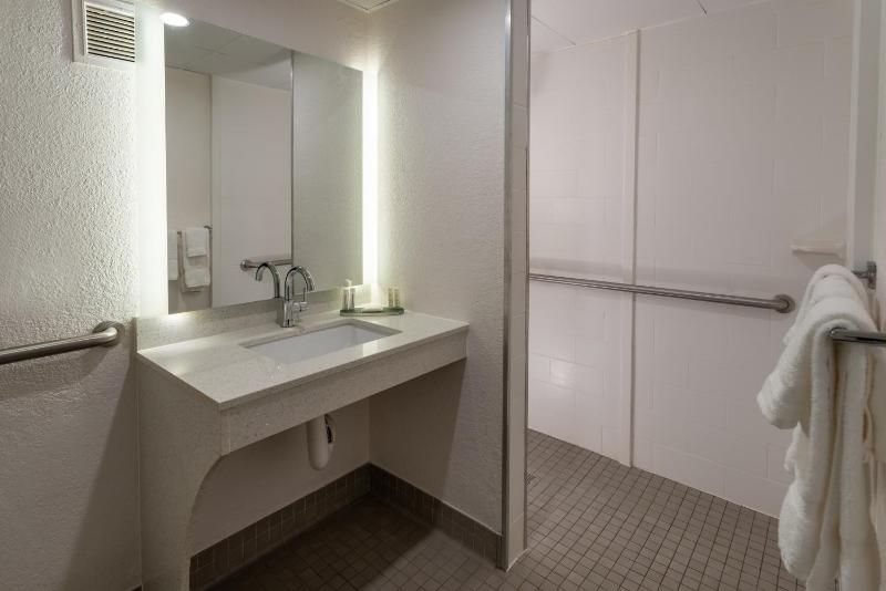 1 King Bed, Mobility and Hearing Accessible Room, Roll-In Shower, Non-Smoking image 2