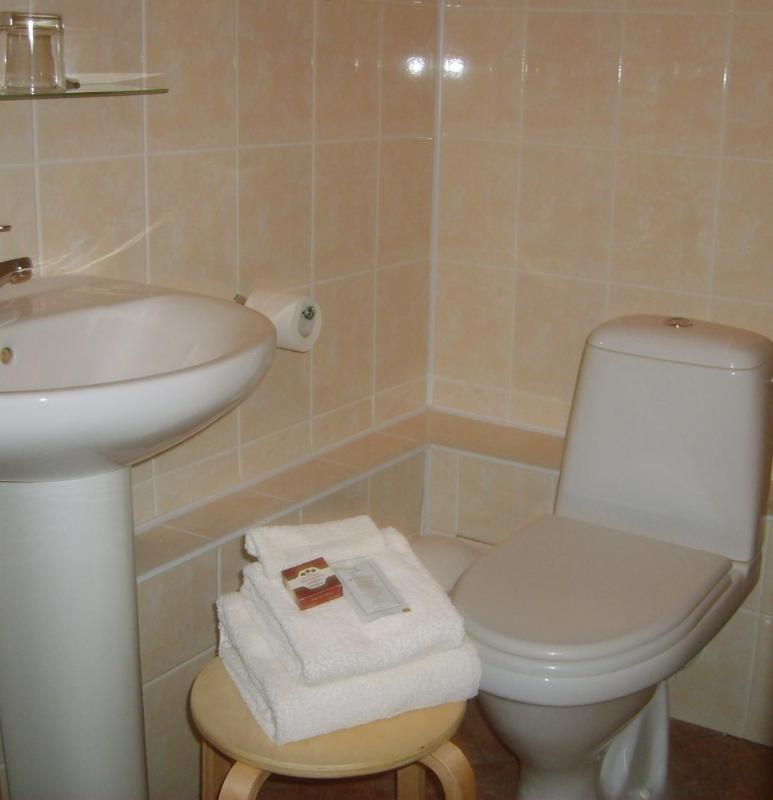 Single Room image 2