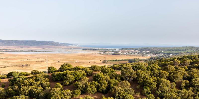 Vista La Janda - Califa Casas Vejer - image 7