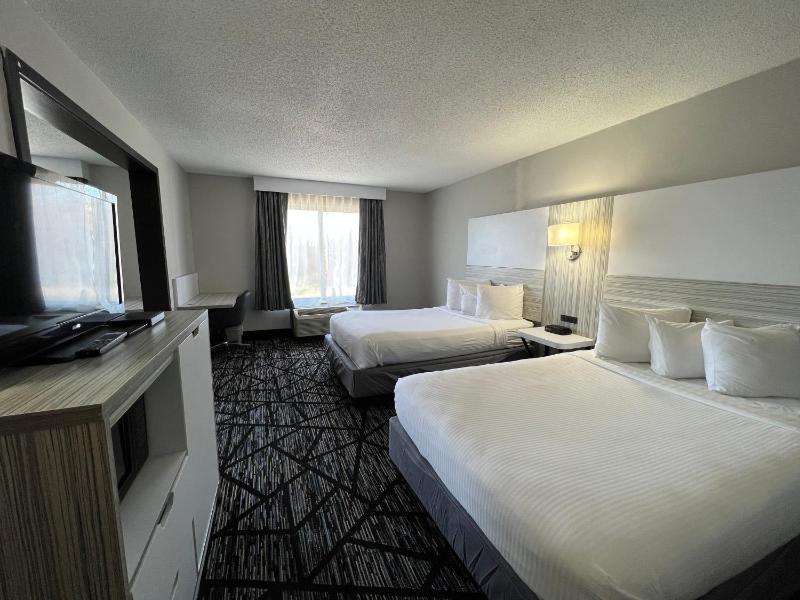 4 Double Beds, Studio Suite, Non-Smoking image 2