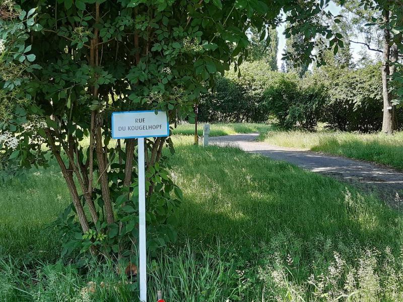 Camping de l'Ill - image 7