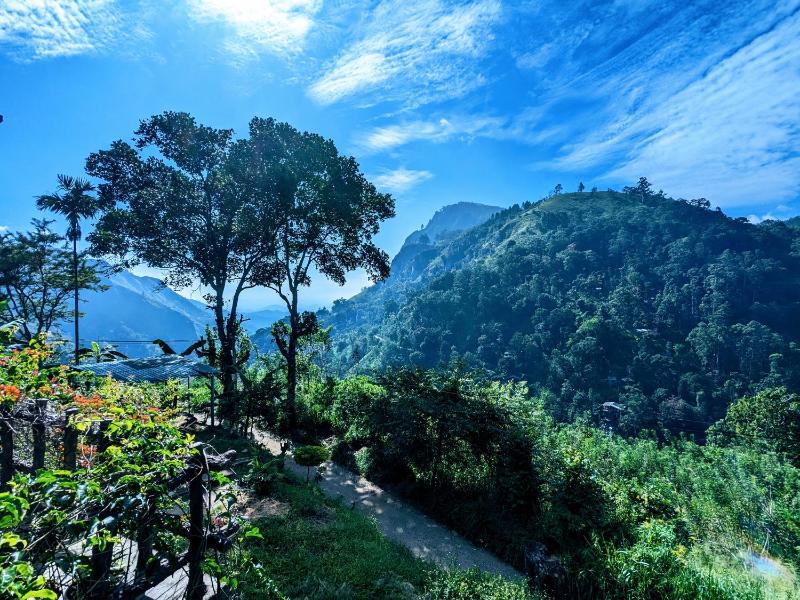 Lavendra Paradise - image 1