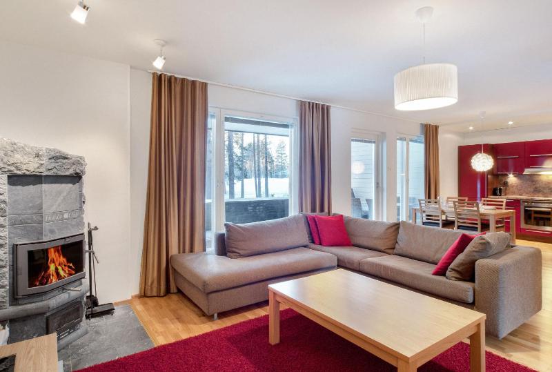 Large One-Bedroom Apartment image 4