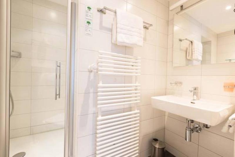 Single Room with Grandlit and Mountain View image 2