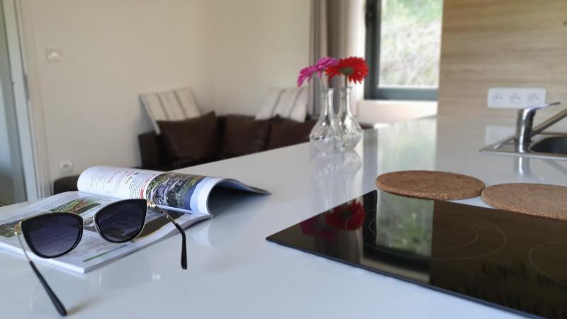 Superior Chalet image 2