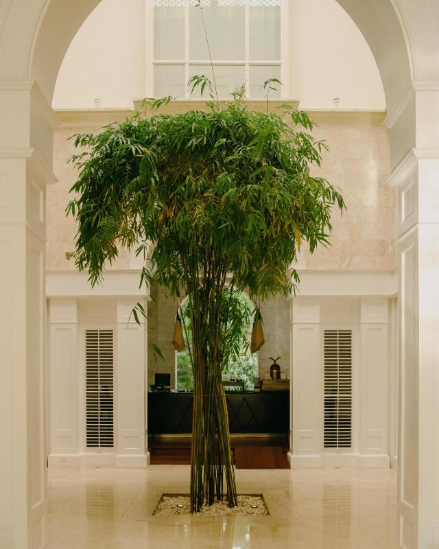Casa Colonial Beach & Spa - image 37