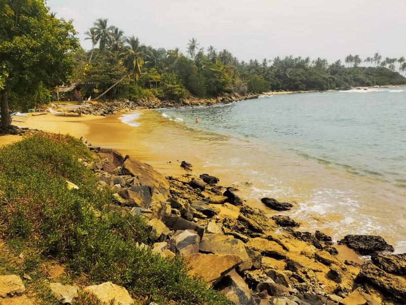 Secret Swell - image 7