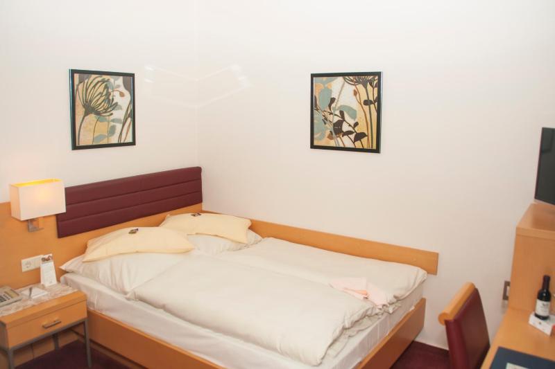 Business Single Room image 4