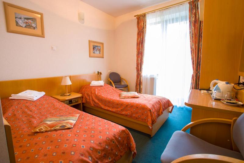Superior Twin Room image 3