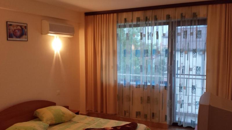 Vila Raduinea - image 26