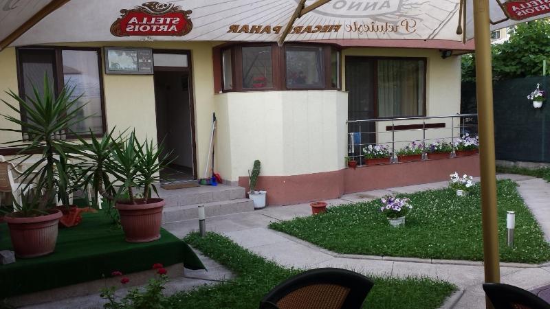Vila Raduinea - image 1