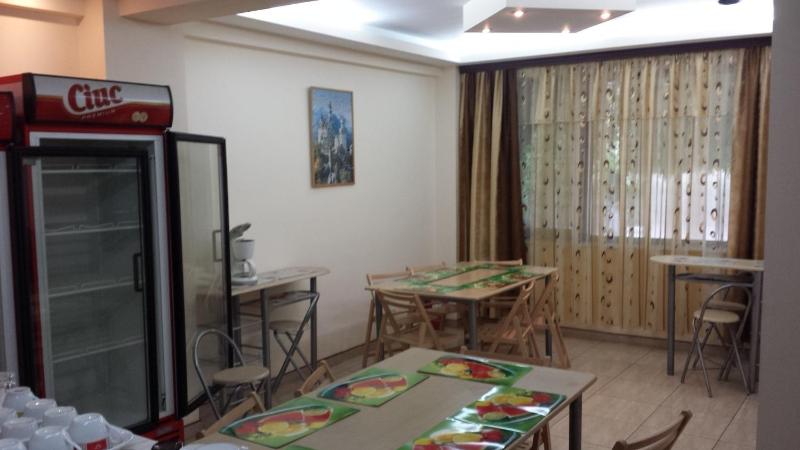 Vila Raduinea - image 33
