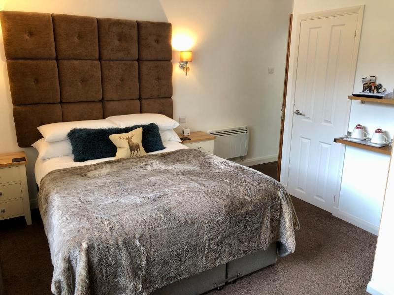 King Room image 3