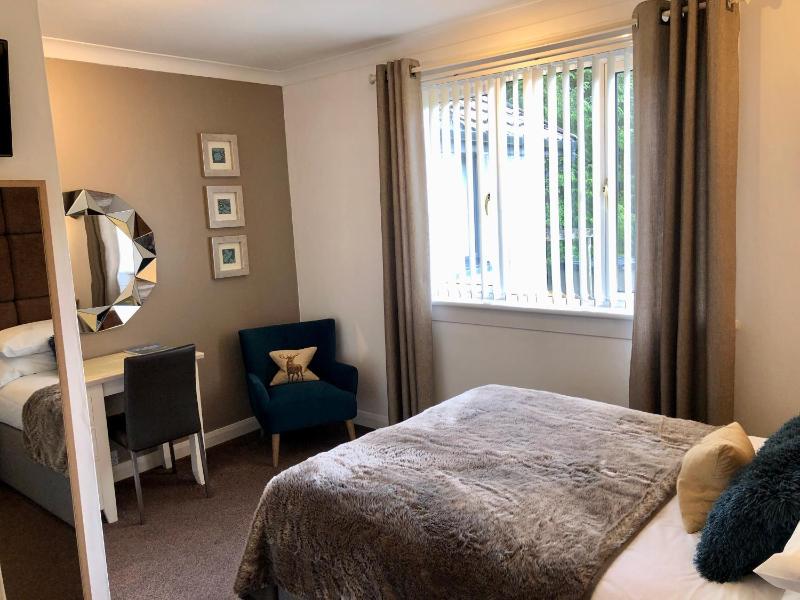 King Room image 4
