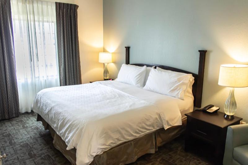 One-Bedroom King Suite with Sofa Bed image 2