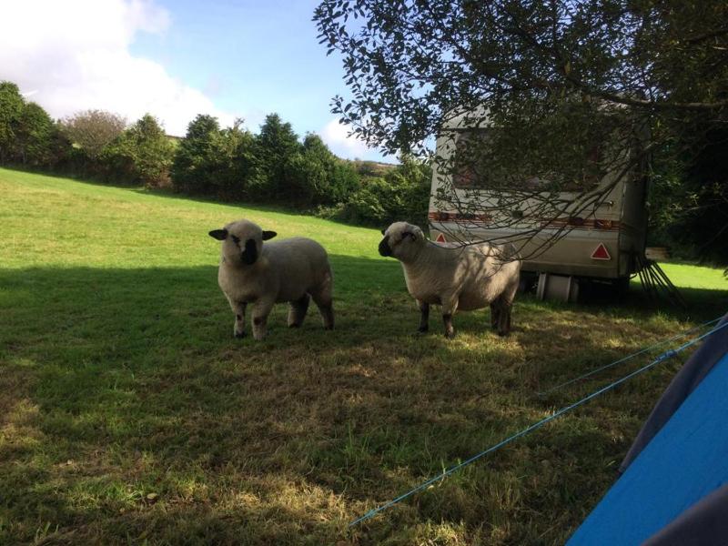 One-Bedroom Pod image 2