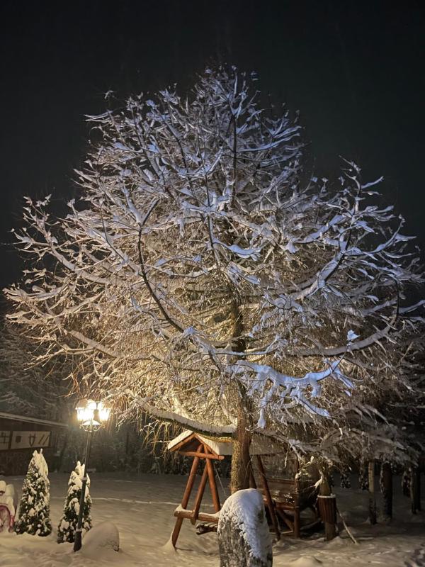 Holiday Home image 2