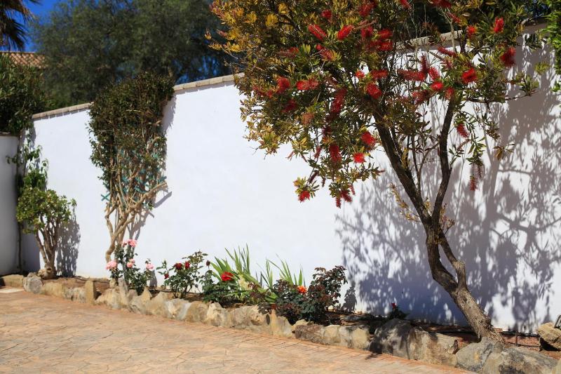 El Mirador de la Quinta - image 19