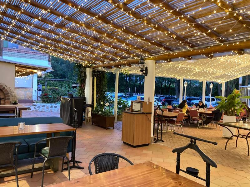 Elephantia Spa Hotel - image 44