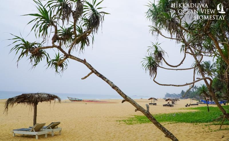 Hikkaduwa Ocean View Homestay - image 6