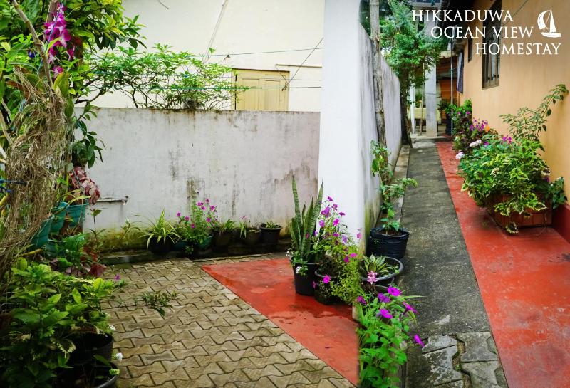 Hikkaduwa Ocean View Homestay - image 11