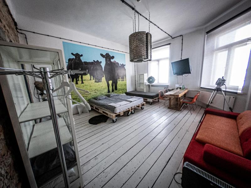 Loft Sen Pszczoły - image 7