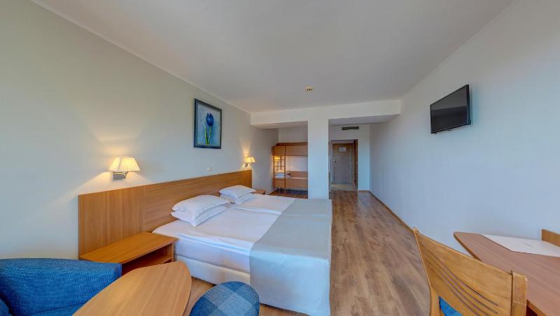 Junior Suite image 1