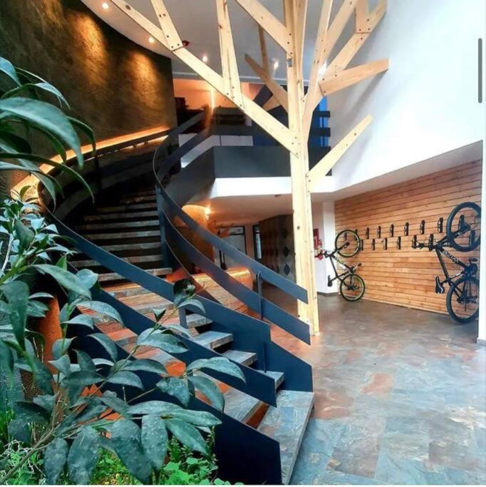 Hermosa Suite en edificio ecológico - image 16