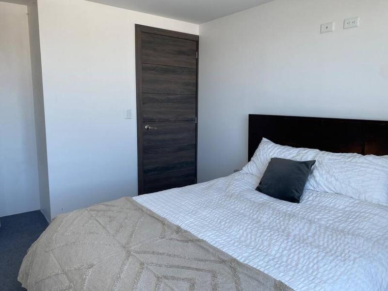Hermosa Suite en edificio ecológico - image 12