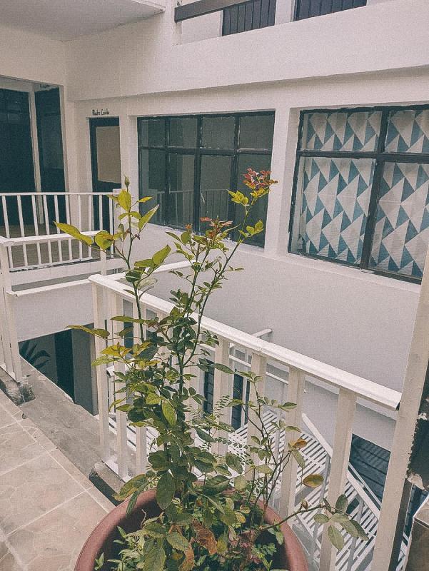 Hostel Casa Maguey - image 6