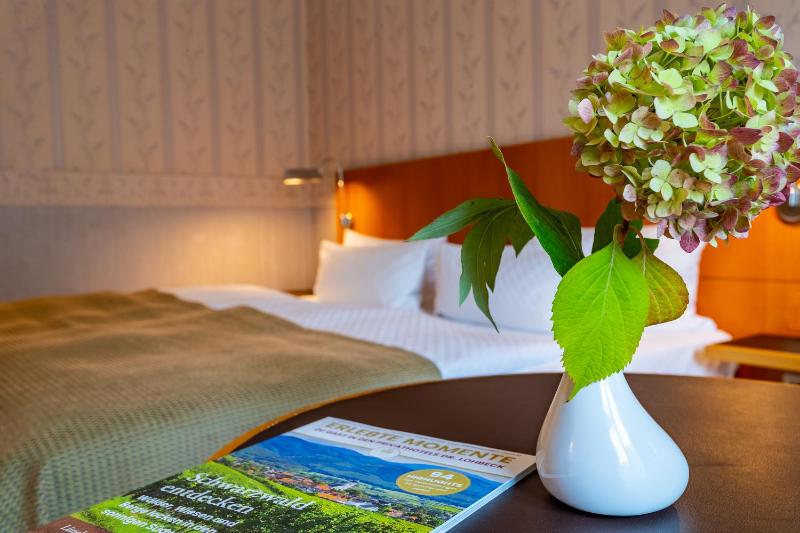 Standard Single Room image 1